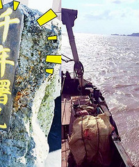清明小长假去哪里踏春?台州这些地方适合春游!