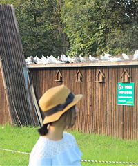 88������ 165cm