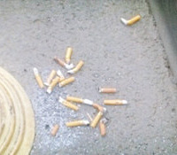 ɹС������������