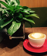 ����Ҫ������������������