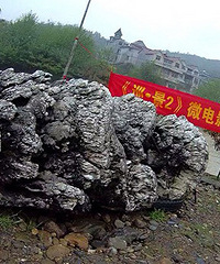 ���ʯͷʮ����