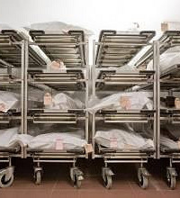 ���̫ƽ���ʬ���أ�ʬ�屣��ɱ��ߡ���ʬ���䡰��ʬ��