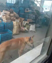 ��������ָ����Ȯ�Ե�������й�ȡָ