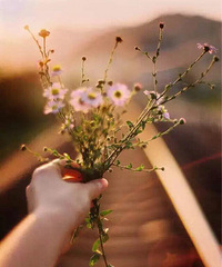 ���ֺ��ҷ��ֻ���һ�������� ��ô��