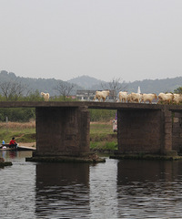 [����]�ٺ�����������ͼ���󲹳�