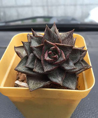 �ҵĶ�������ˣ���ô�������أ�