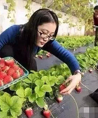 ���߰��ò�ݮ԰����Ŀ���ģ����껹��ȥժ��