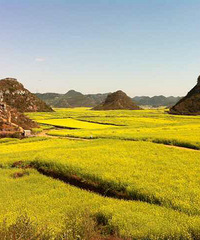 �²�������