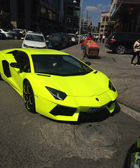 ��˧���ĳ�û��֮һ��