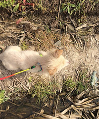 �����¡�+ ���ǵ��