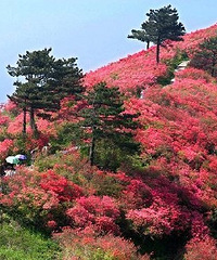 ��̨�ž��Ҫ���ˣ�����֯�����