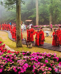 ��̨�ž��Ҫ���ˣ�����֯�����