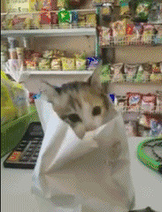 ���Ѿ��Լ�������ˣ���Ҫ����ô��