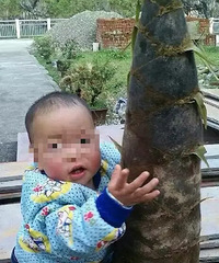 ��̨�ȱ������ߵ�����