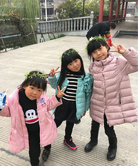 ����֦���Ļ���