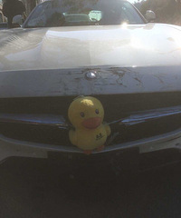 GTsײ����С��Ѽ