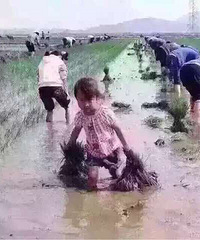 80��Ļ��䣬������·��