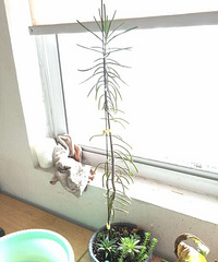 ������һ��Ҫ�ɾ��ˣ�