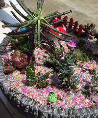 ���ⳤ����ͨ����