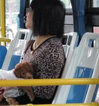 �����˳�������Ů�Ӹ�����Ͷ�ҳƣ����ǰ�����