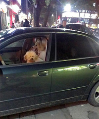 �ѵ��⹷������������