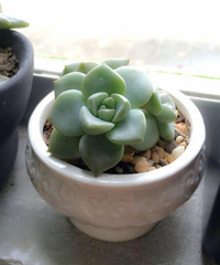 �칫�ҵ�����