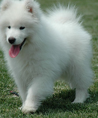 �����¡���ʵ������һ�����¹�����