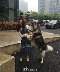 �ſ��Ǹ�Ů��������˹�ӵ��ֵ�Ϸ����