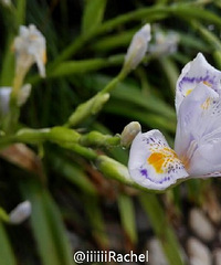 ���β�������졣