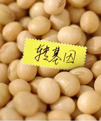 ʥŮ����ת����ת������°���