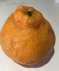 һ����˹�Ҫ7Ԫ��