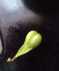 ��ë��Ҫ���찡