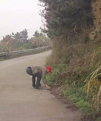 4.14���硰����������������ˡ������幤���ж�