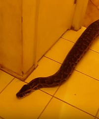 ��ҹ�ϲ������������������ƿ��ź����ļ�к䶯����С��