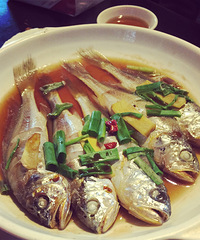 ���Ի�̽�꡿�ҿ�������ʳ֢֮�Ͻ���ɽ��