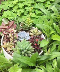 ÿ����㣬���ǲ�һ�����̻�