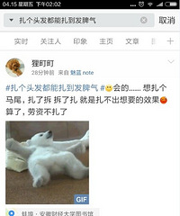 ���ƴ����ӣ� �Ͼ���������ͷ������������Ƣ��