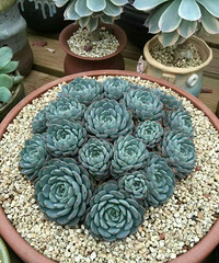 ���ٸ����ü��������������������