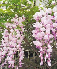 ���Ҽ��и��ļ��ʻ��������ܵĴ���̨��