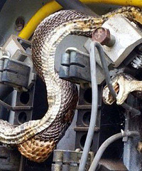 ������ġ����ա����� ���Գ�������