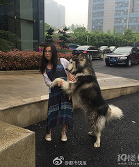 ˭�ҵ��������غ���һ�߶�����˹�ӵ�������