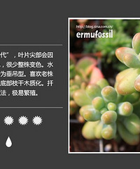 ���������ϰ��ֶ���ֲ�����ͼ���ٲ����ʲô������