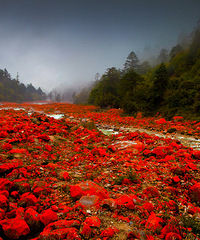 5��21�ţ�AA������G��318Լ��