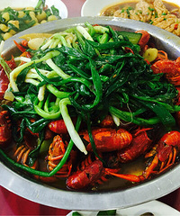 ��Ϫ��Ϻ�����ڳԵ��㣡