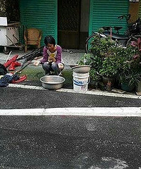 ���񲶻�3�׳��������㡱 ��������