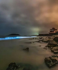 ������̲�֡������ᡱ���