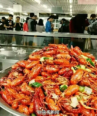 ���˵�ѧУ��ͬ�ô�ѧ��ҹ����ŵ��Կ����ڰ�������