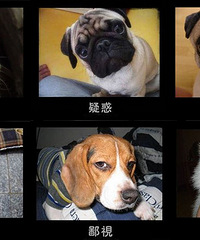 ����������㡿����� �����콱Ŷ��