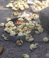 ֻ��С���ô������ڣ���������ŭ��һ�����