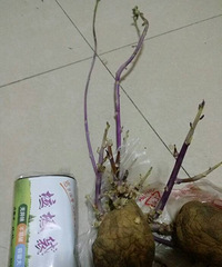 �������������������֪�������������ˡ�